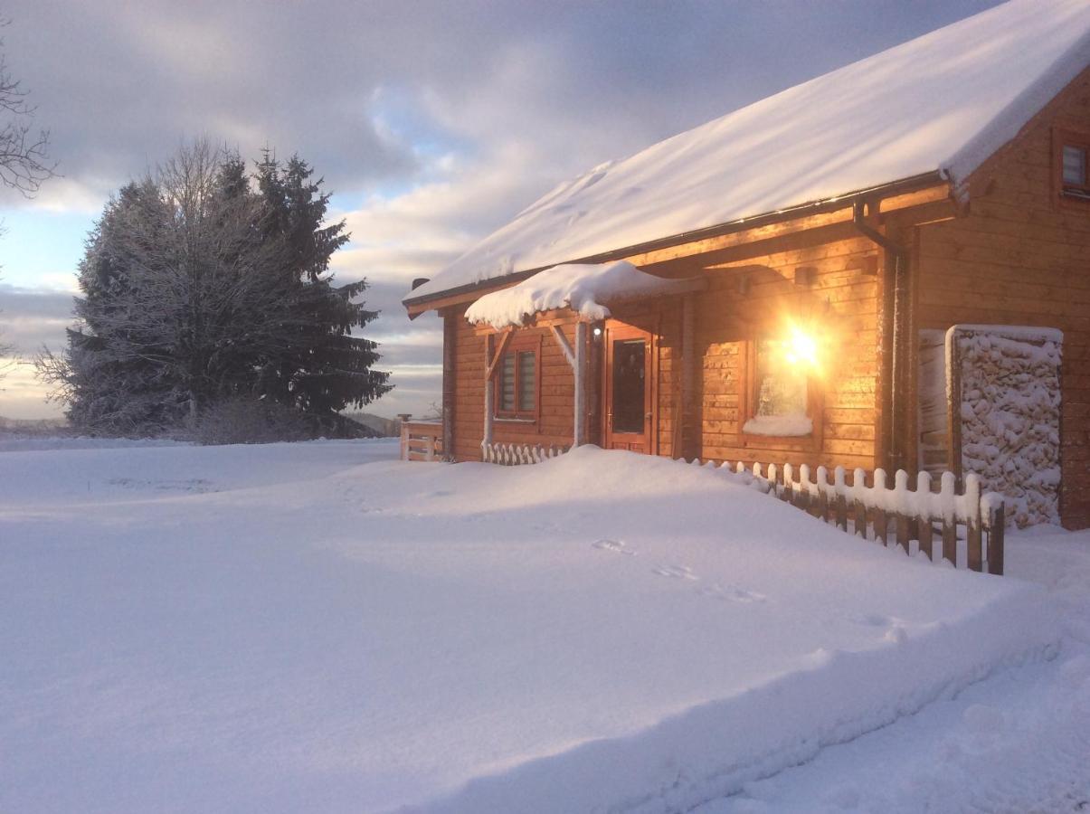 Blockhaus Harzblick4c Chalet Braunlage