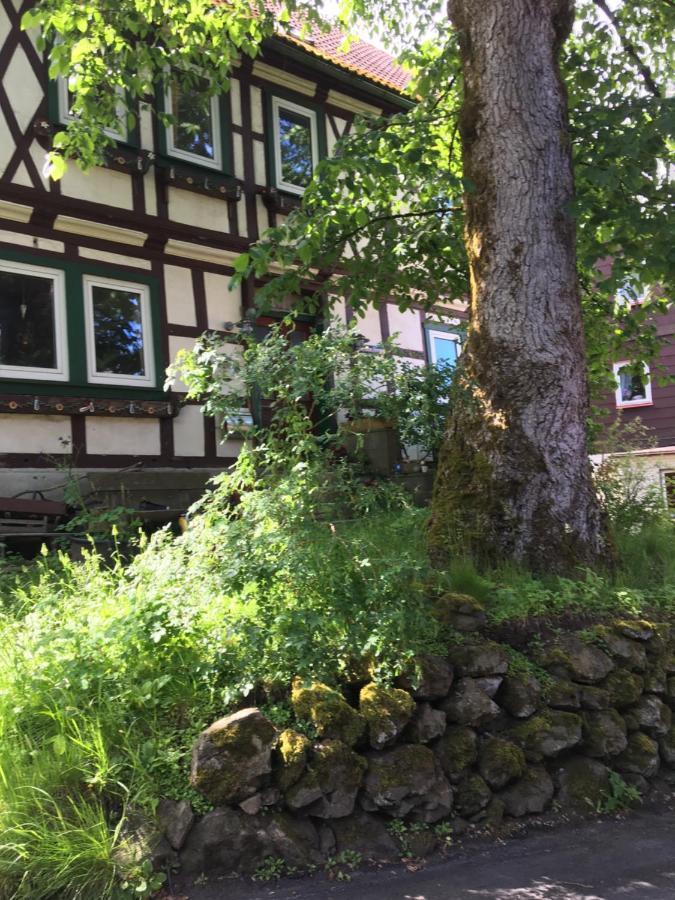 Blockhaus Harzblick4c Chalet Braunlage