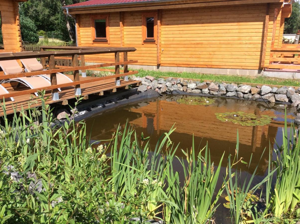Blockhaus Harzblick4c Chalet Braunlage